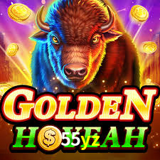 Premium Interface 55yz